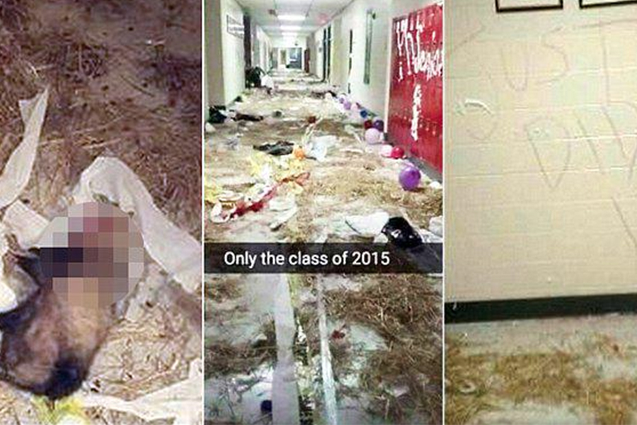 The Prank That Got Everyone Fired